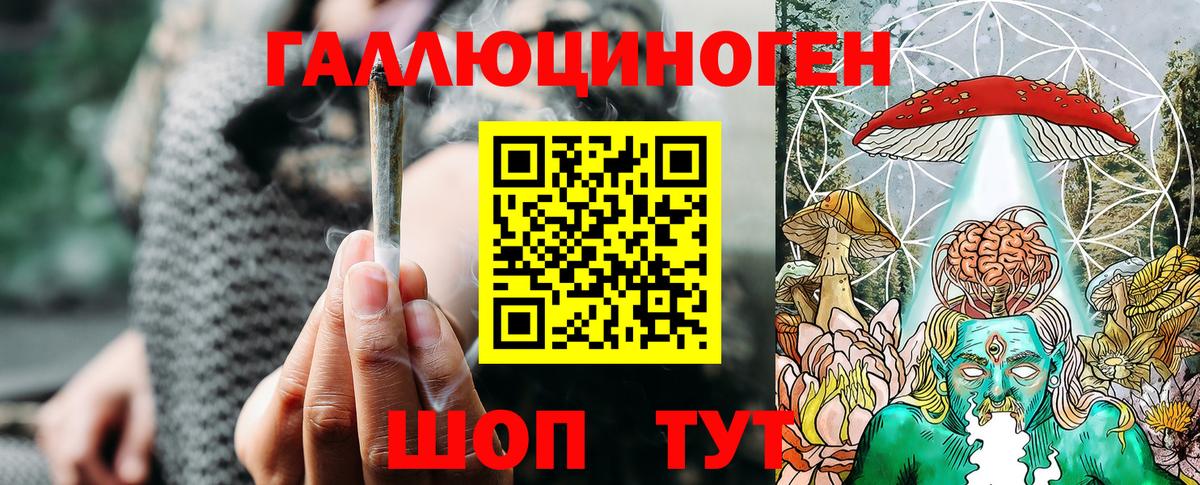 Галлюциногенные грибы Геленджик