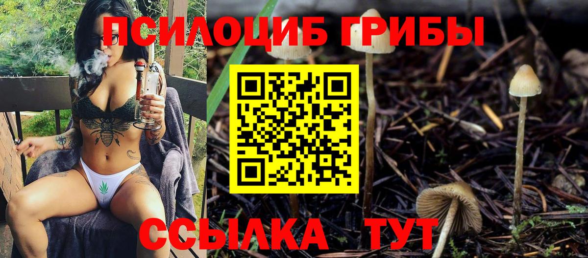 Галлюциногенные грибы ЛСД Геленджик