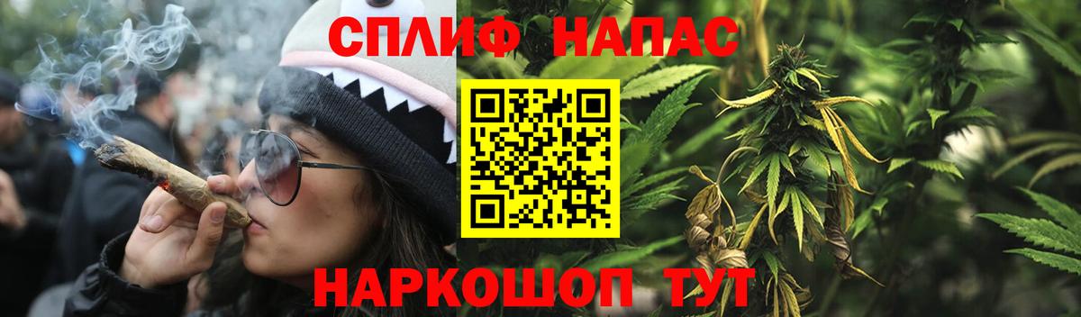 МАРИХУАНА семена Геленджик